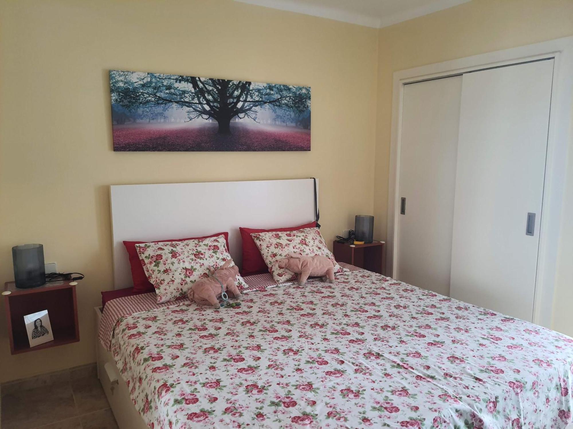 Apartamentos Ferrán Paqui Roses Exterior foto